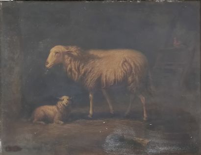 J. MISTLER (XIX)

Ecole Anglaise

Mouton...