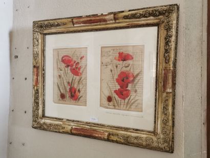 BROUSSE

Aquarelle sur papier encadrée

Representant...