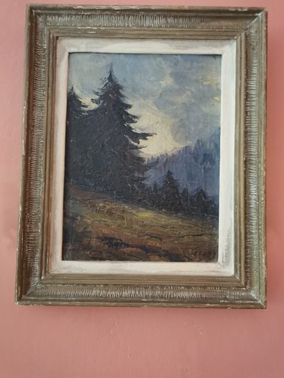 JACOBS DIEUDONNE (1887-1967)

Paysage alpin

Dim...