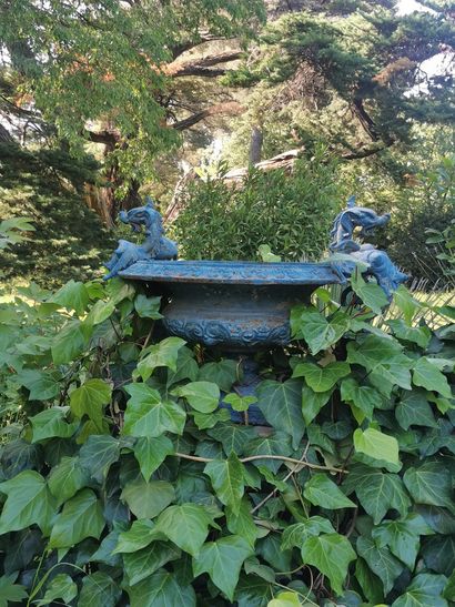 Paire de vasques Médicis en fonte de fer...