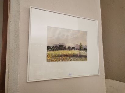 BROUSSE

Aquarelle sur papier encadrée

Representant...
