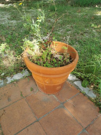 Deux pots en terre cuite ronds à décor de...