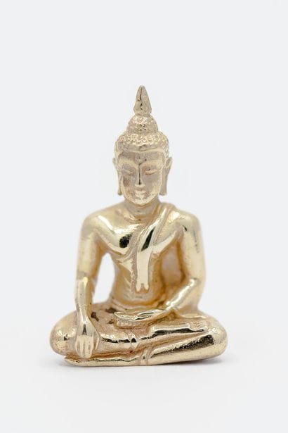 PENDENTIF bouddha or Blanc 750°

Poids :...
