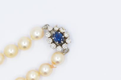 COLLIER de perles en chute (7,5 à 7,9 mm),...