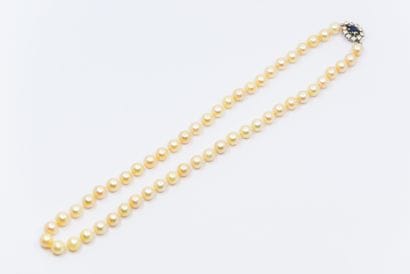 COLLIER de perles en chute (7,5 à 7,9 mm),...
