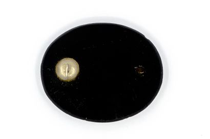 PLAQUE ovale en onyx et micromosaîque représentant...