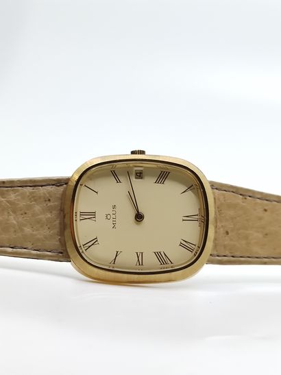 MILUS

Montre bracelet, boîtier rectangulaire...