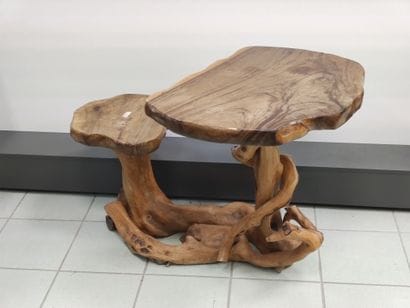 CHARMANT bureau d'écolier composé d'une racine...