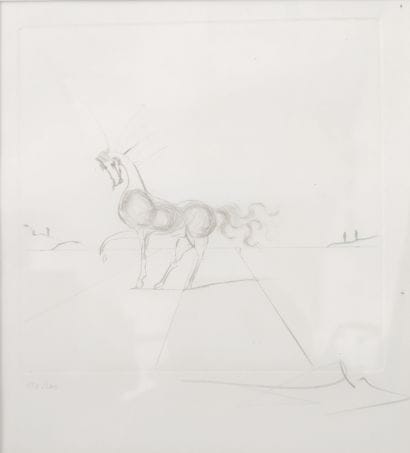 DALI

Lithographie représentant Le cheval...