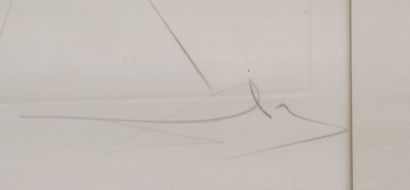 DALI

Lithographie représentant Le cheval...