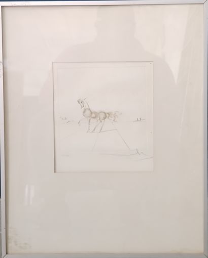 DALI

Lithographie représentant Le cheval...