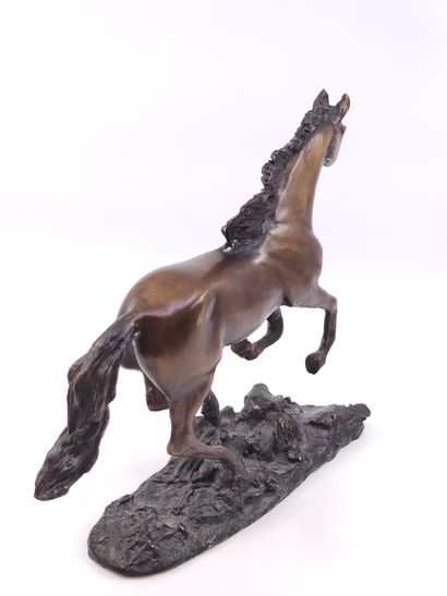 CHENILLON Jean-Louis (1810-1875)

Cheval...