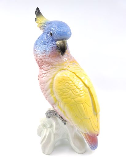 
BESWICK ENGLAND 




Perroquet en porcelaine...