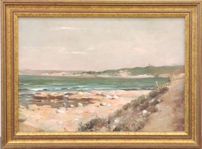 Alphonse PELLET (1853 - 1926) attribue à...
