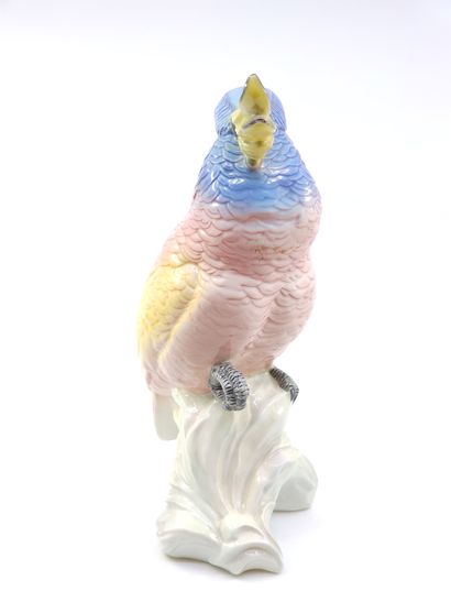 
BESWICK ENGLAND 




Perroquet en porcelaine...