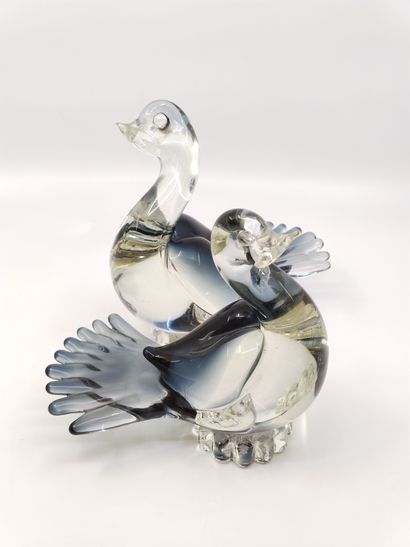 MURANO - 

Deux oiseaux en cristal bleu

Dim...