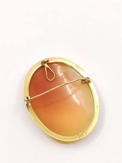 PENDENTIF faisant broche ornée d'un camée...