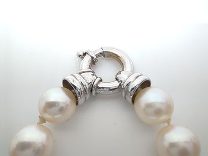 COLLIER de 45 perles de culture choker, fermoir...