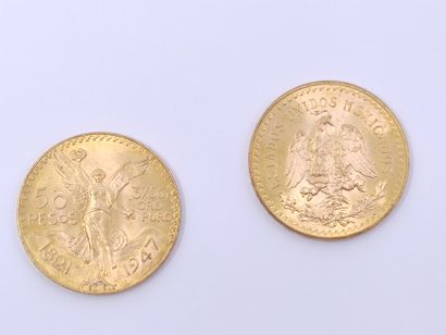 
LOT de deux pièces de 50 pesos en or

Poids...