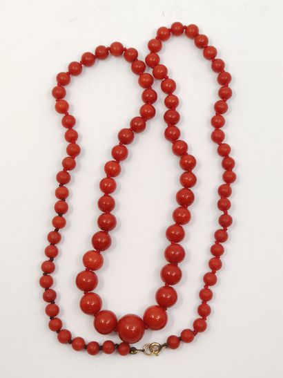 
COLIER DE PERLES de corail en chute , fermoir...