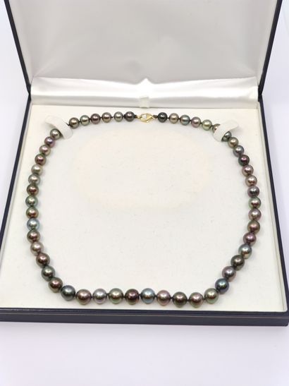 COLLIER de 53 perles de Tahiti en chute,...