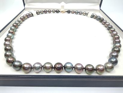 COLLIER de 53 perles de Tahiti en chute,...