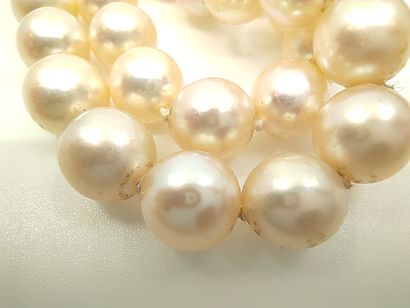 SAUTOIR double rang de perles de culture,...