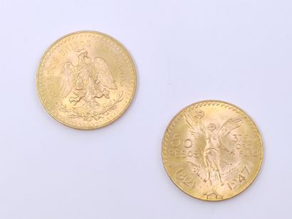 
LOT de deux pièces de 50 pesos en or

Poids...