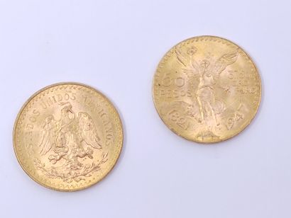 
LOT de deux pièces de 50 pesos en or

Poids...