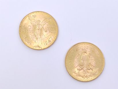 
LOT de deux pièces de 50 pesos en or

Poids...
