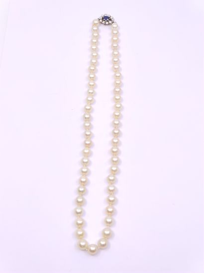 COLLIER de perles en chute (7,5 à 7,9 mm),...
