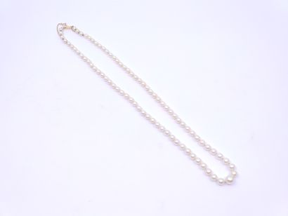 COLLIER de 79 perles de culture en chute,...