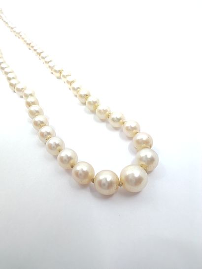 COLLIER de 85 perles en chute, fermoir à...