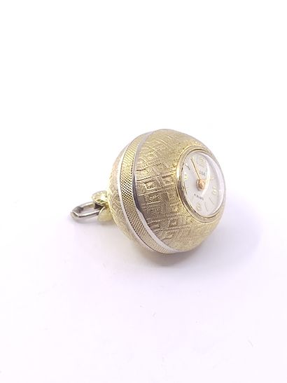 ELOGA

Montre de style boule de geneve en...