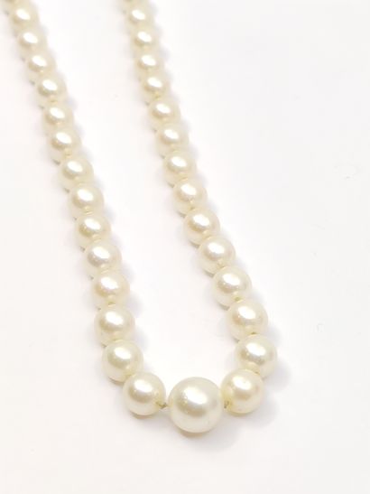 COLLIER de 79 perles de culture en chute,...
