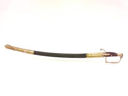 Infantry officer saber type 1800. 

Handle...