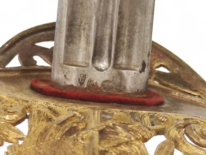 Marine infantry officer saber. 

Horn handle...