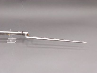 Rifle of infantry transformed with percussion,...
