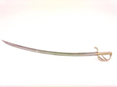 Germanic saber. 

Brass mounting, faschinenmesser...