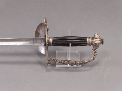 Administration officer sword. 

Grooved handle....