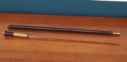 Two sword sticks: one modern and one made...