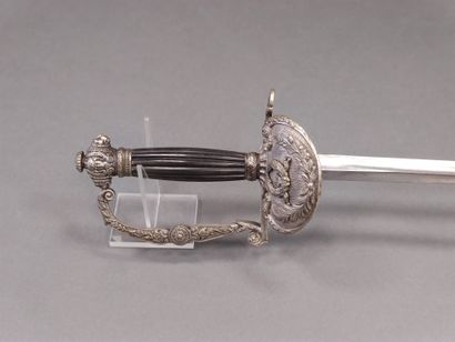 Administration officer sword. 

Grooved handle....