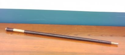 Two sword sticks: one modern and one made...