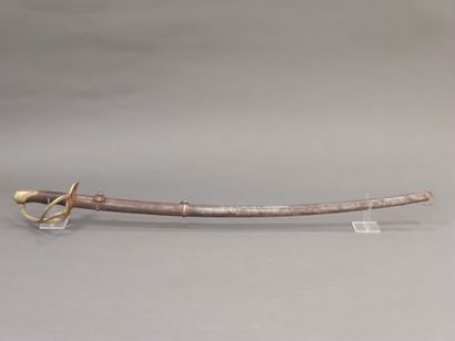 Light cavalry officer saber model 1822. 

Horn...