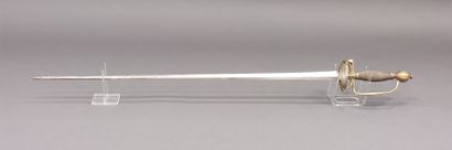 Officer's sword type 1767. 

Watermarked...