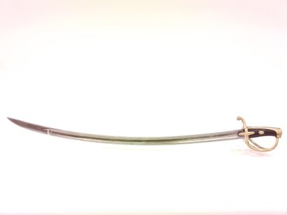 Light cavalry saber model An XI. 

Handle...