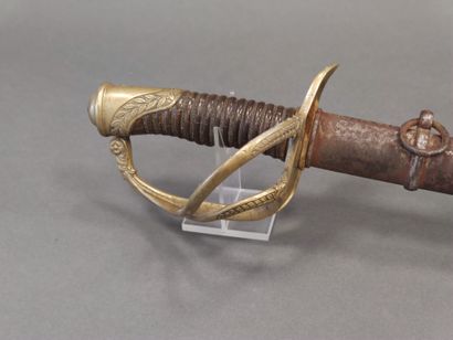 Light cavalry officer saber model 1822. 

Horn...