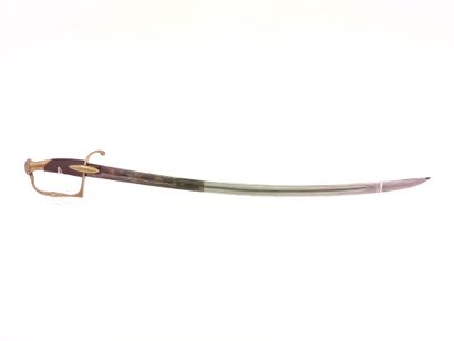 Infantry officer saber type 1800. 

Handle...