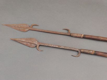 Deux lances Africaines.

Pointes à arrête...