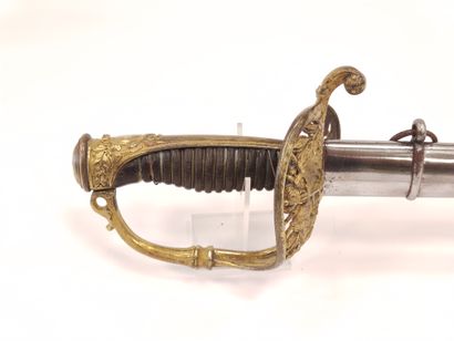 Marine infantry officer saber. 

Horn handle...